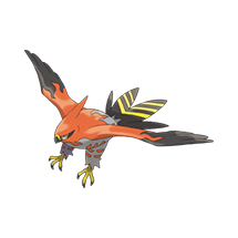 Talonflame – Stats, Type, Abilities, Height, Weight, Strength, Weakness